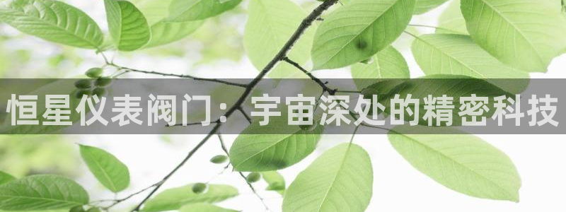 新宝GG娱乐下载