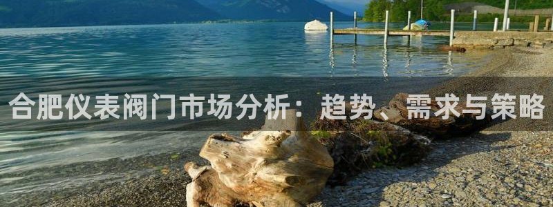 新宝GG电话