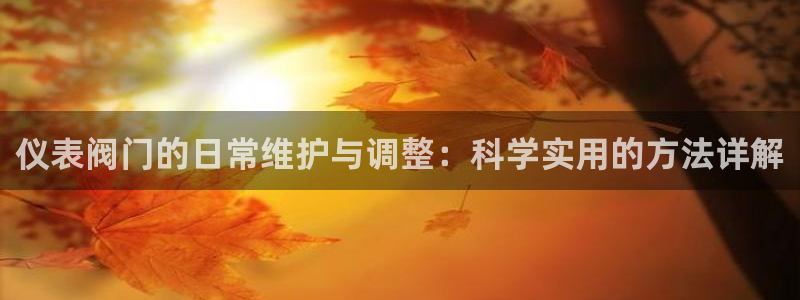 新宝gg cqdellar