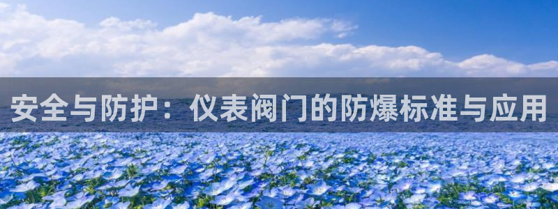 新宝gg登录平台