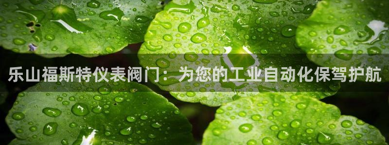 新宝gg网址