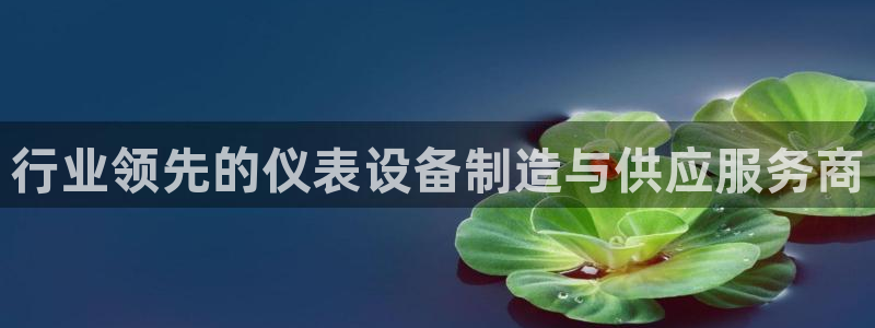 新宝gg真的能赚钱么