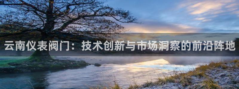新宝gg怎样代理