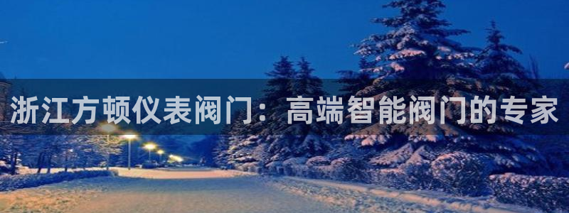 新宝gg返点1956是多少