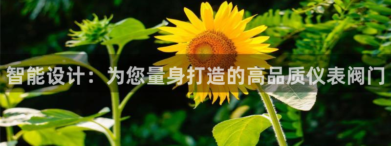 新宝gg怎样代理