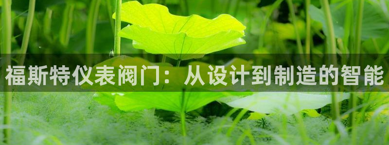 新宝gg 开户