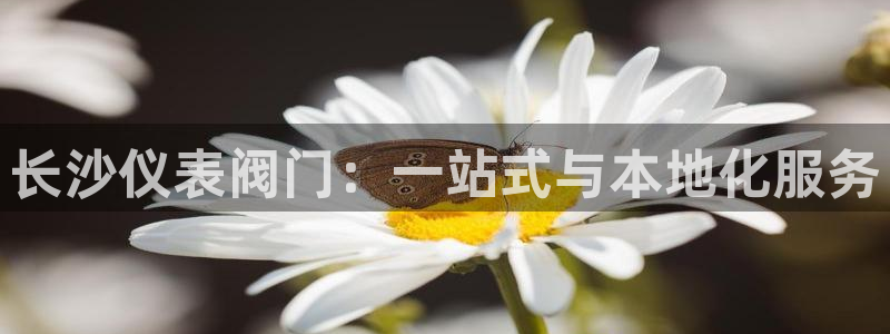 收新宝gg