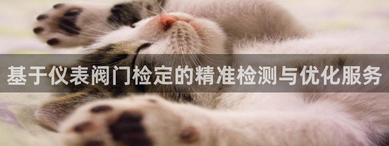 新宝gg娱乐官网