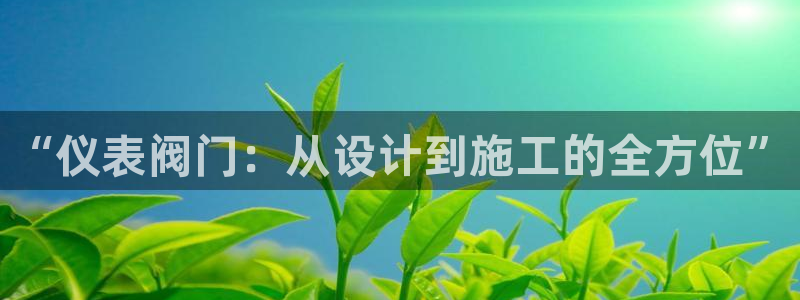 新宝gg娱乐主管q42873
