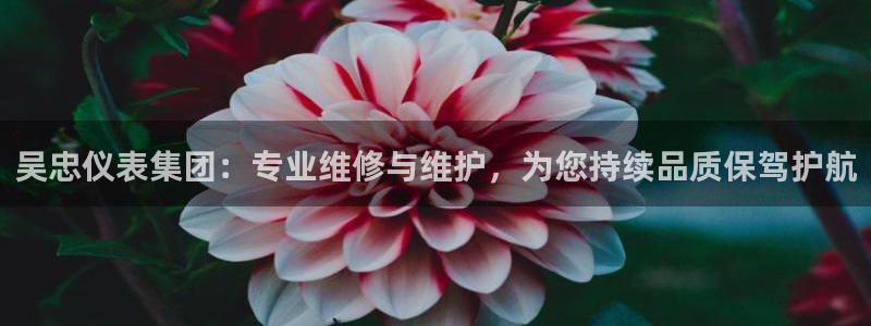 新宝gg app