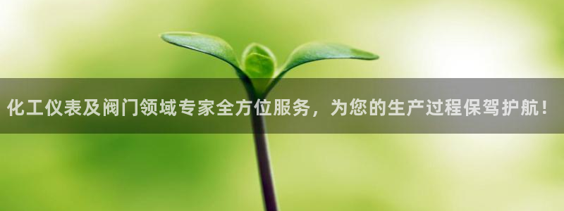 新宝gg登录线路测试