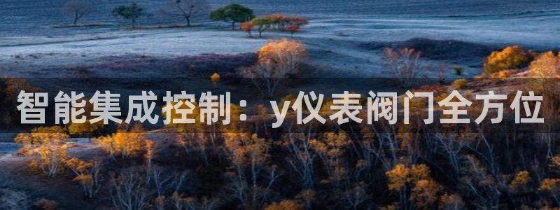 手机新宝gg