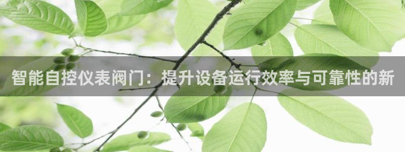 新宝gg公司