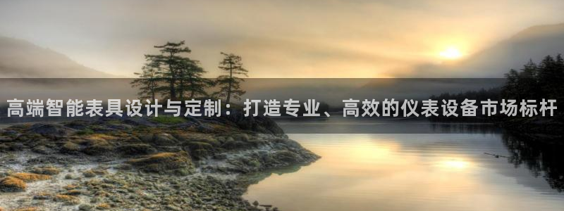 关于新宝GG