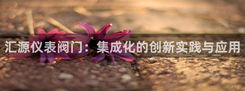 新宝gg注册登录网址