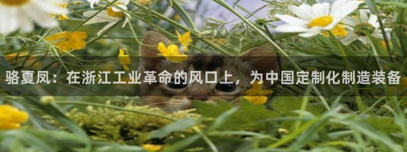 新宝gg dengludizhi