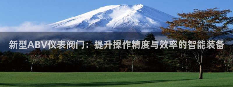 新宝gg登录链接