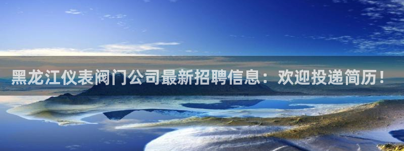 新宝gg返点模式