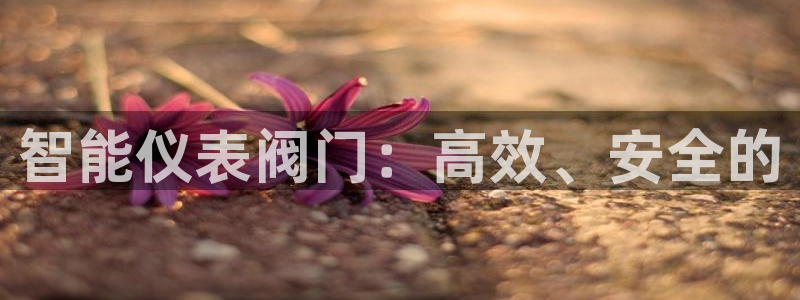 新宝6娱乐新宝gg