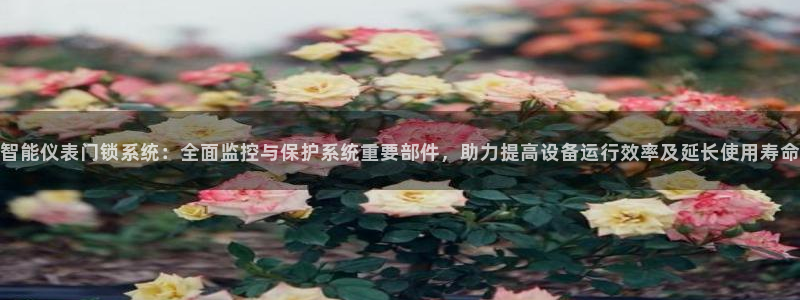 新宝gg平台反水