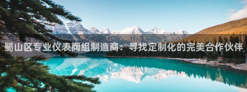 新宝GG用哪个网址登录