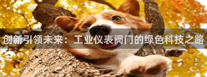 新宝GG手机客户端