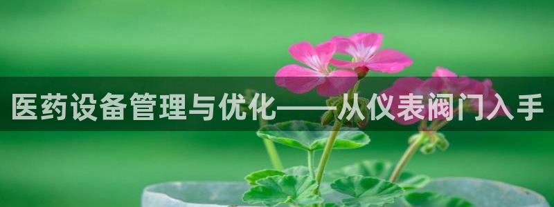 新宝gg龙虎规则