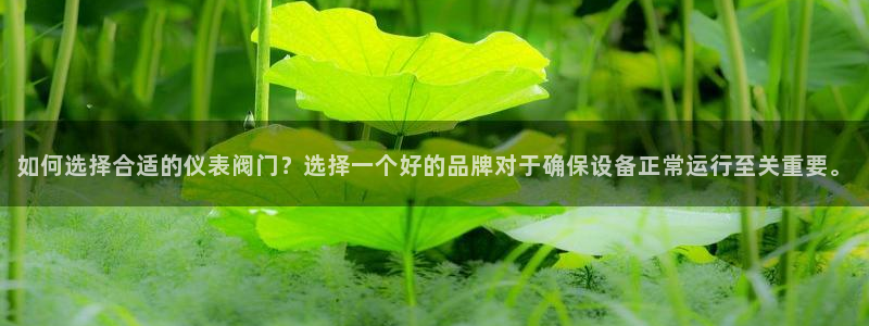 新宝GG53339咨询新宝GG