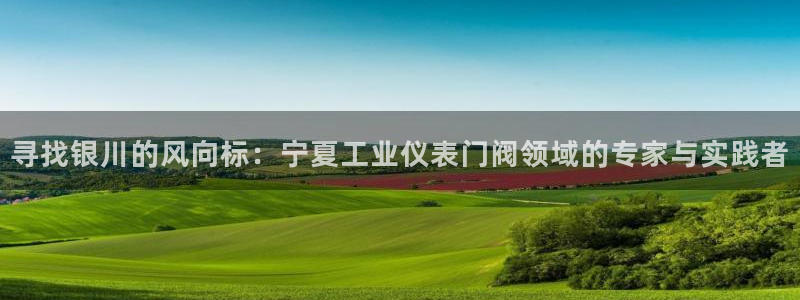 新宝GG用哪个网址登录