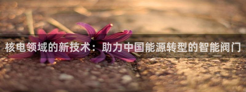 新宝gg娱乐上皇巢网