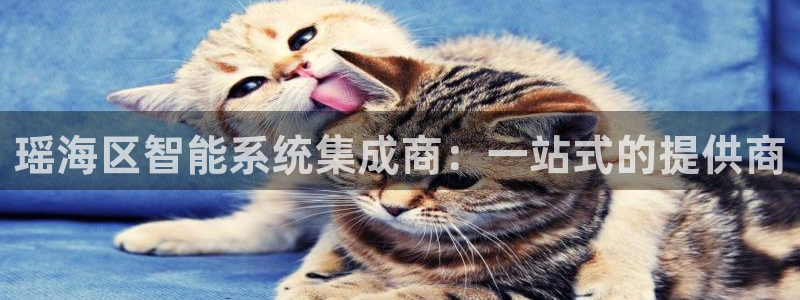 新宝gg是新宝几