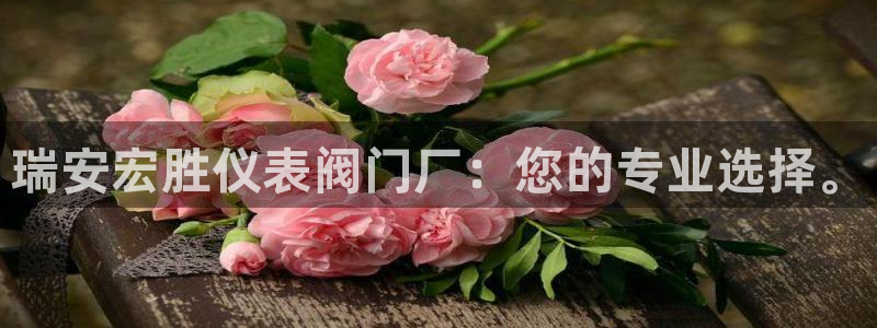 新宝gg平台反水