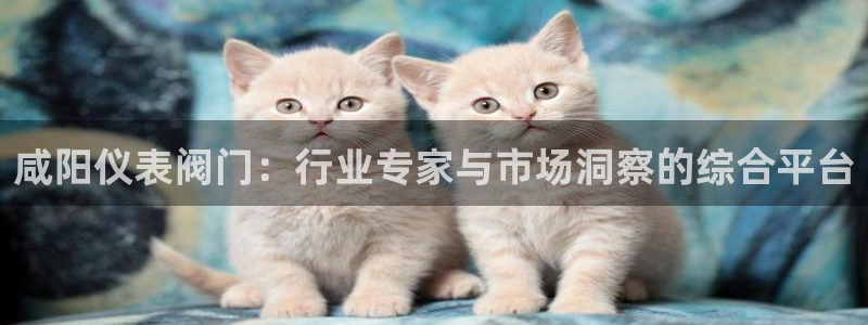 新宝 gg登录