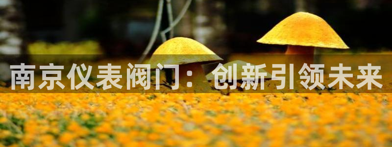 新宝gg登录线路测试