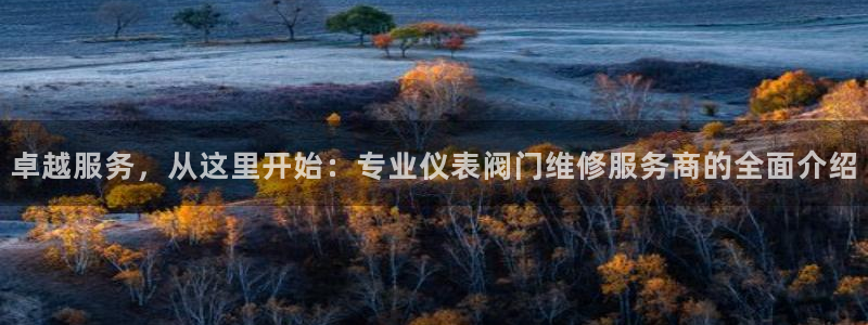 新宝gg挂机软件下载