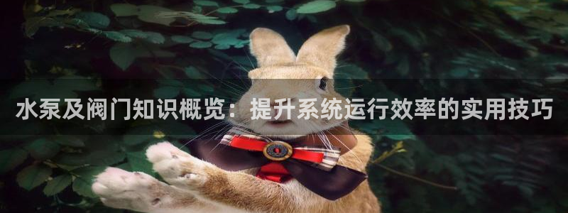 新宝gg—创造