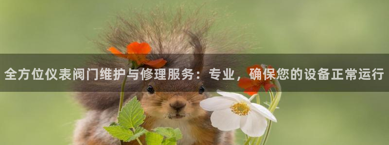 新宝gg 开户