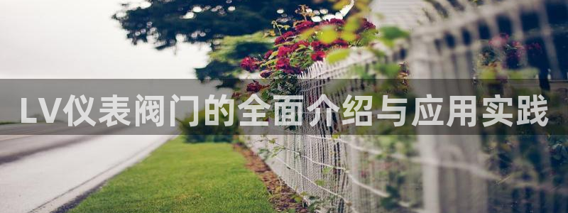 新宝gg手机