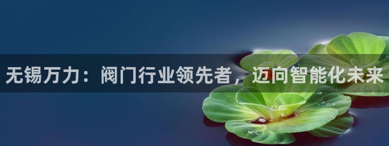 新宝gg公司