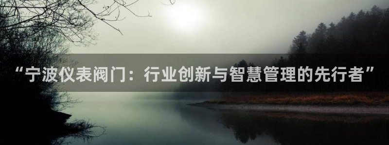 新宝gg—登录