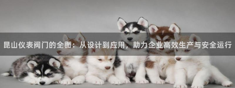 新宝gg客户登录