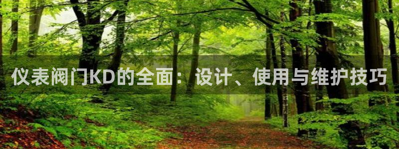 新宝gg计划