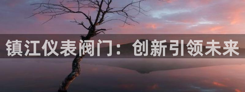 新宝GG—创造奇迹