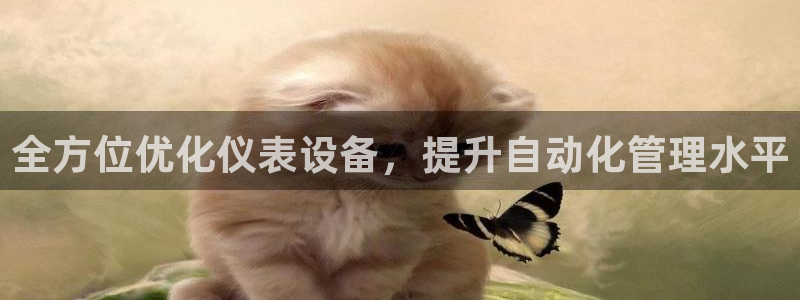 新宝gg盈亏