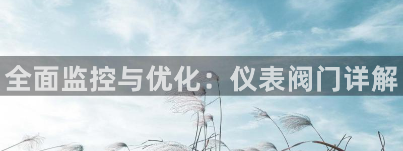 新宝gg主管、